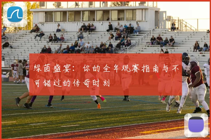 绿茵盛宴:你的全年观赛指南与不可错过的传奇时刻