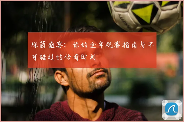 绿茵盛宴：你的全年观赛指南与不可错过的传奇时刻